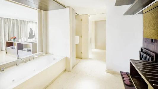 Palacio Duhau - Park Hyatt Buenos Aires - 98