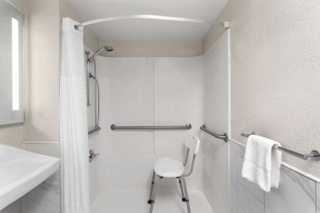 Days Inn by Wyndham Orlando Conv. Center/International Dr - 33