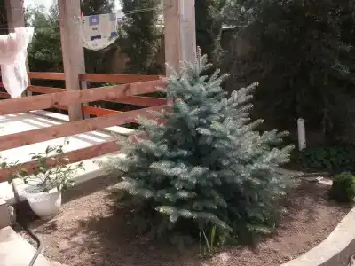 Райский Уголок - 2