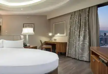Hilton Bursa Convention Center & Spa - 68