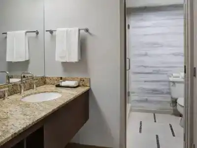 Hyatt Regency Dfw International Airport - 60