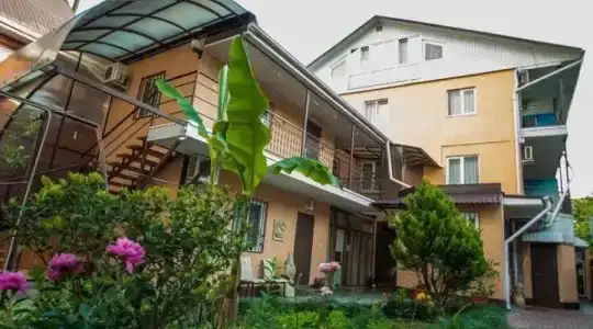 Амур - 0