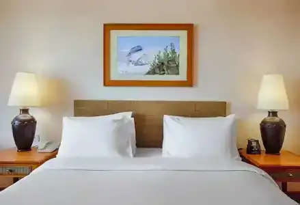 Hilton Alexandria Green Plaza - 32