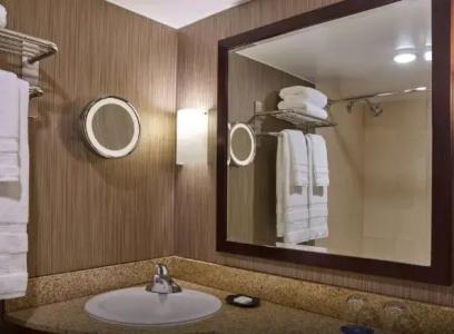 Sheraton Atlanta - 57