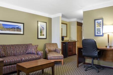Comfort Inn & Suites - 3