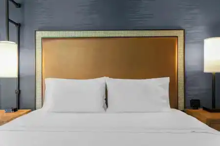 Hampton Inn & Suites Austin-Downtown/Convention Center - 43