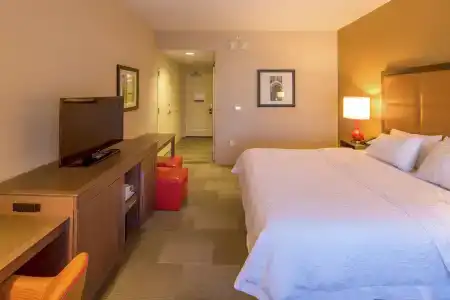 Hampton Inn Houston Downtown - 25