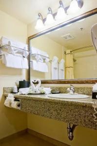 Castle Inn and Suites Anaheim - 20