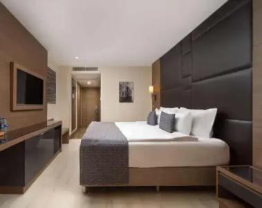 Tryp By Wyndham Istanbul Sisli - 61