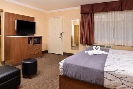 Best Western Hollywood Plaza Inn - Hollywood Walk Of Fame - La - 28