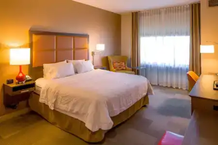 Hampton Inn Houston Downtown - 22