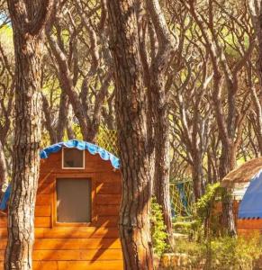 Villaggio Camping Le Marze - 144
