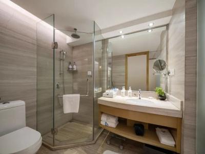 Grand Skylight Shenzhen (Huaqiang NorthBusiness Zone) - 27