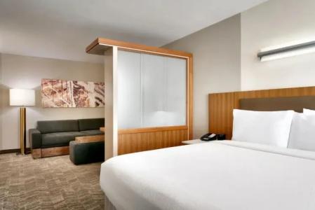 SpringHill Suites by Marriott Las Vegas Convention Center - 42