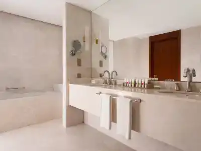 Swissôtel Wellness Resort Alatau Almaty - 82