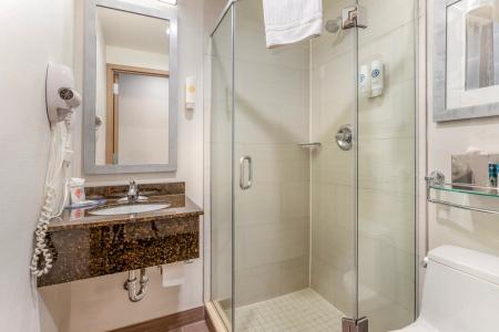 Comfort Inn Manhattan - Midtown West - 39
