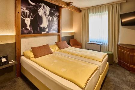 Central Wolter - Grindelwald - 34