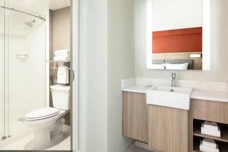 SpringHill Suites by Marriott Dallas Downtown / West End - 69
