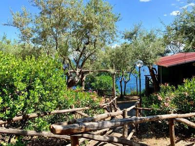 Village Camping Santa Fortunata - Campogaio - 18
