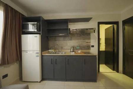NewCity Apart- Suites & - 48