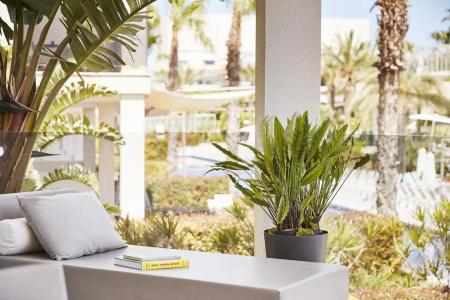Zafiro Palace Alcudia - 66