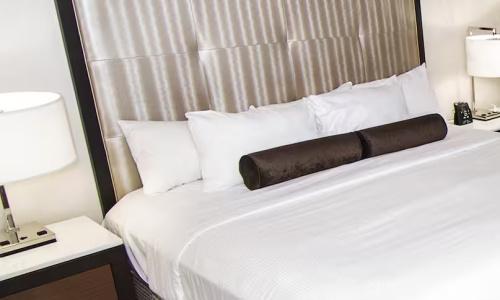 Hilton/ Fallsview and Suites - 40