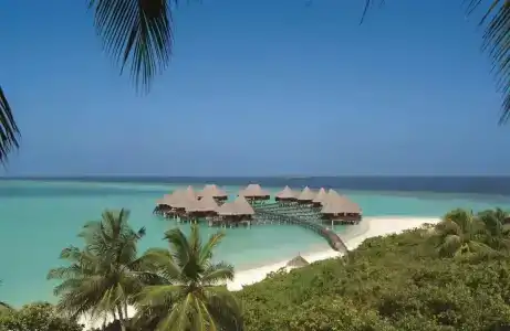 Coco Palm Dhuni Kolhu - 22