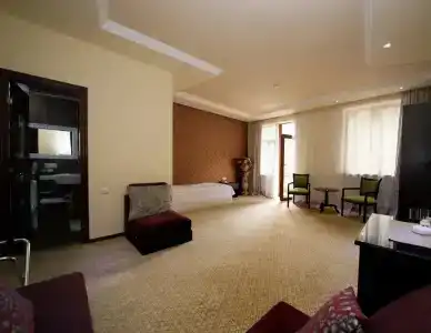Borjomi Palace Health & Spa Center - 63