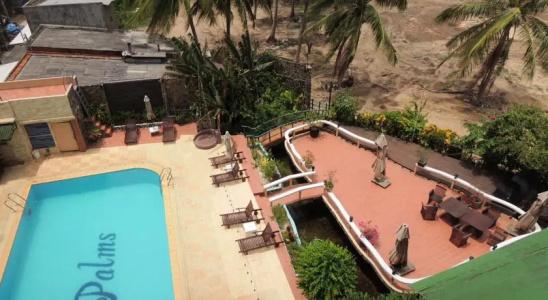 The Palm - 5