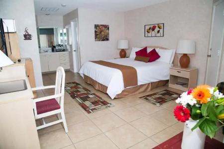 The Inn at Deep Canyon - 13