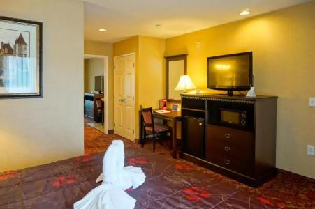 Castle Inn and Suites Anaheim - 26