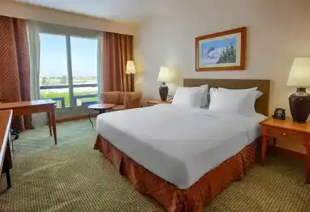 Hilton Alexandria Green Plaza - 29