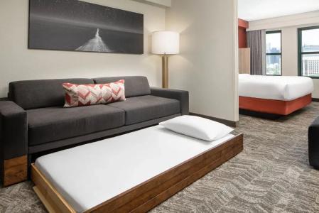SpringHill Suites by Marriott Dallas Downtown / West End - 68