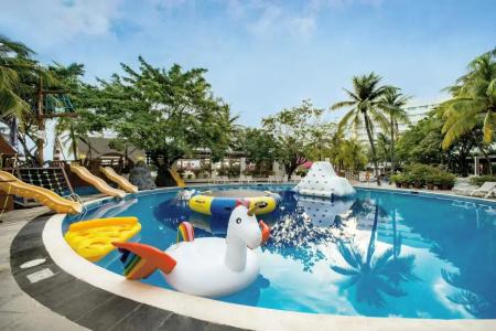 Oasis Palm - 23