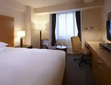 Sheraton Miyako Osaka - 30