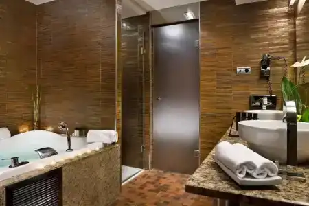 Melia Madrid Princesa - 146