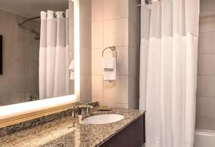 Hilton Anatole - 73