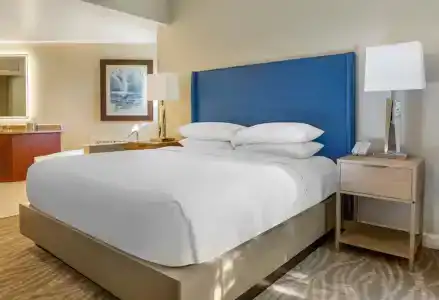 Hilton Grand Vacations Club SeaWorld Orlando - 67