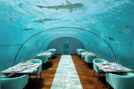 Conrad Maldives Rangali Island - 11