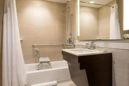 Holiday Inn Brooklyn Downtown, An Ihg - 48