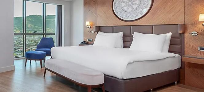 Dedeman Tokat - 50