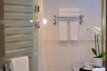Best Western Plus - 18