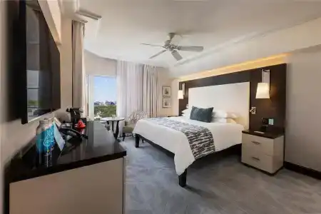 The Palms & Spa - 120