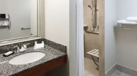 Hilton Garden Inn Denver Downtown - 71