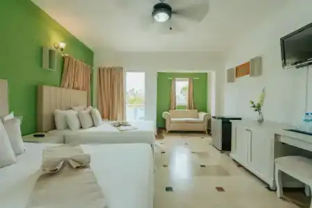 Green Coast - 31