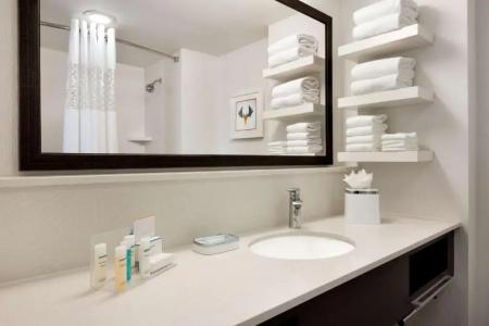 Hampton Inn Atlanta-Buckhead - 31