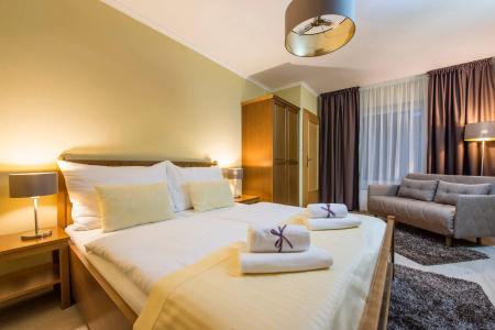 Pension Vila Mery - 1