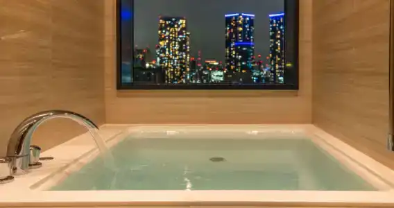 La Vista Tokyo Bay - 103