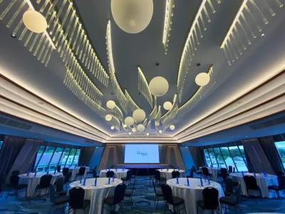 The Oceanic Sportel - Sha Extra Plus - 18