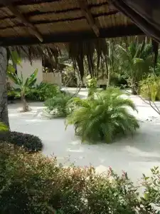 Angkana Bungalows - 23